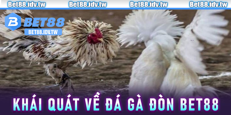 Khái quát về đá gà đòn Bet88