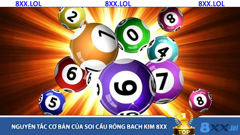 Nguyên tắc cơ bản của soi cầu Rồng Bạch Kim 8XX