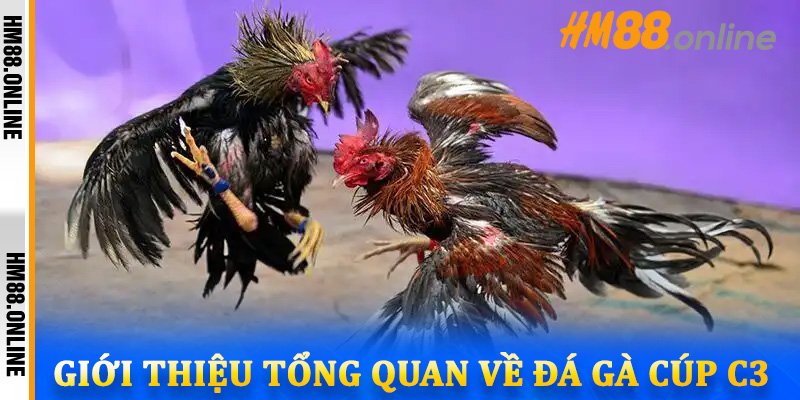 Giới thiệu tổng quan về đá gà Cúp C3