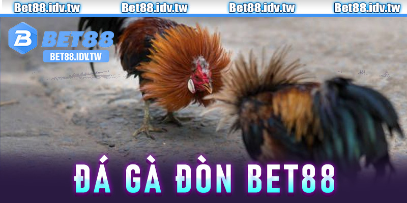 đá gà đòn Bet88
