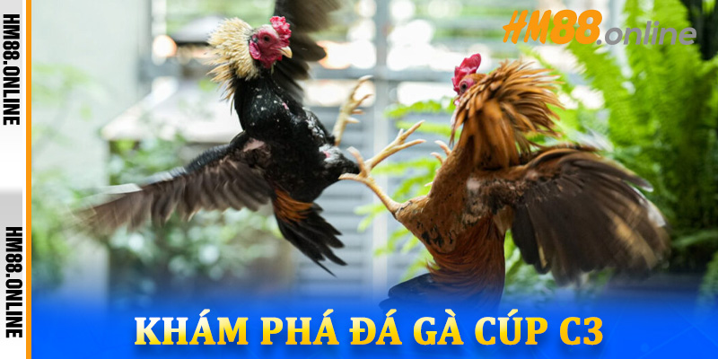 Khám Phá Đá Gà Cúp C3 - Sân Chơi Uy Tín trên HM88