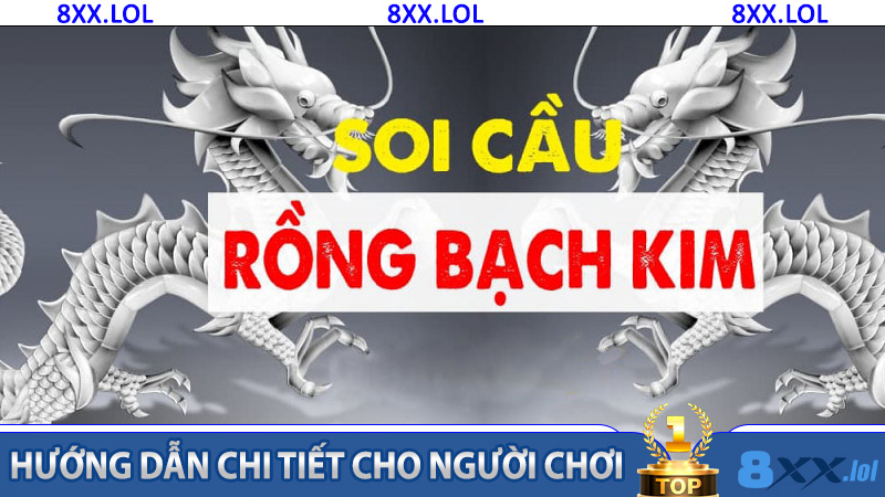 Ứng dụng soi cầu Rồng Bạch Kim 8XX trong chiến lược đặt cược