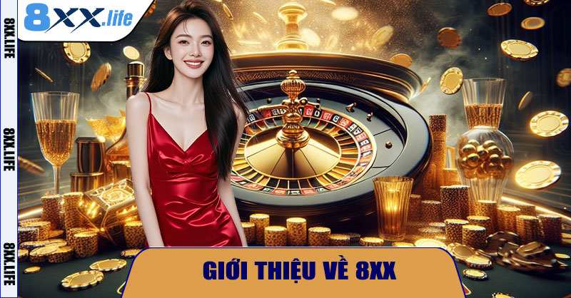Giới thiệu về 8XX
