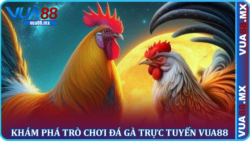 Khám phá Trò Chơi Đá Gà Trực Tuyến Vua88
