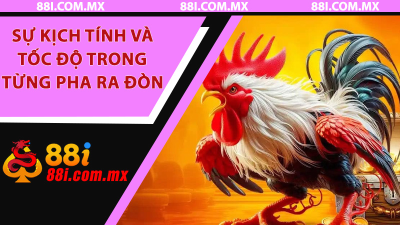 Sự kịch tính và tốc độ trong từng pha ra đòn