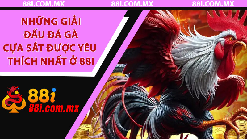 Những giải đấu đá gà cựa sắt được yêu thích nhất ở 88i