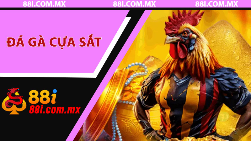 Đá Gà Cựa Sắt 88i – Khám Phá Thế Giới Chiến Kê Đỉnh Cao Và Những Trận Đấu Kịch Tính Nhất