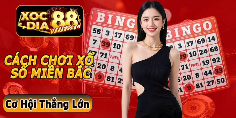 Cách Chơi Xổ Số Miền Bắc Xocdia88