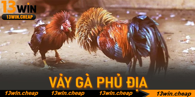 Vảy gà phủ địa – Tấm bùa hộ mệnh cho sư kê tại đấu trường 13win