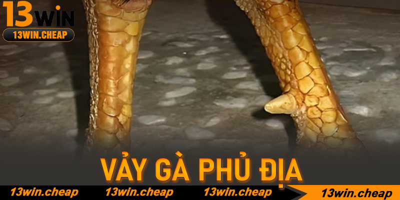 Tối ưu lợi nhuận khi đầu tư vào trận đấu có Vảy gà phủ địa tại 13win