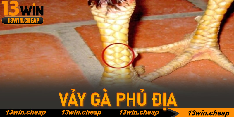 Vảy gà phủ địa 13win: Tuyệt phẩm linh kê và bí thuật chinh phục đấu trường