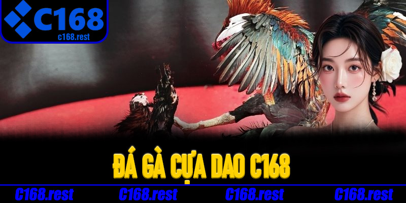 Đá Gà Cựa Dao C168