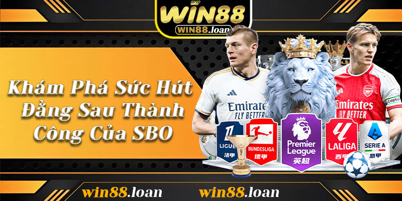 Khám Phá Sức Hút Đằng Sau Thành Công Của SBO